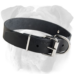 Non-Toxic Leather English Bulldog Collar