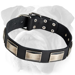 Tearproof Plated Leather English Bulldog Collar
