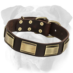 Riveted Leather English Bulldog Collar