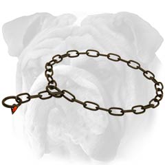 English Bulldog chain collar with 2 O-rings