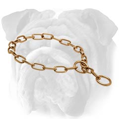 Rustproof English Bulldog chain collar with 2 O-rings