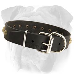 Strong English Bulldog Studded Leather Collar  with Rustproof Hardware 