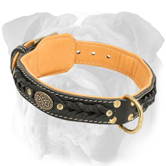Leather English Bulldog Collar with D-Ring