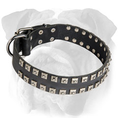 Leather Dog Collar with Rivets