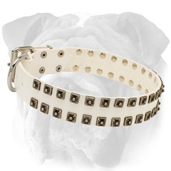 White Leather Dog Collar with Rivets