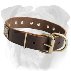 Adjustable Leather Dog Collar with Plates