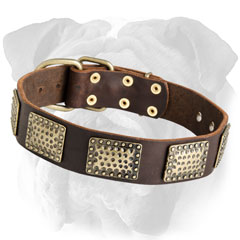 Durable Decorated Leather Dog Collar
