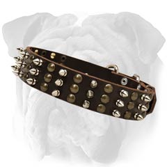 English Bulldog Leather Collar With Spiked And Studs