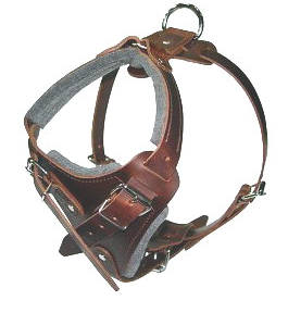 Western Dog Collars Canada Western Dog Collars Canada
