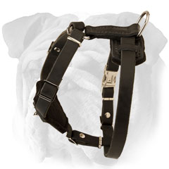 Adjustable Leather English Bulldog Puppy Harness