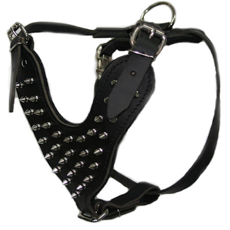 spiked leather harness