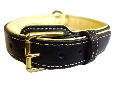 leather dog collar-padded dog collar for all dog breeds