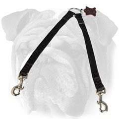 English Bulldog coupler leash for walking two dogs