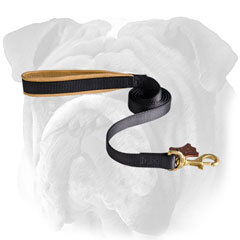 Comfortable English Bulldog leash with soft padded handle