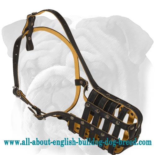 Best Buy Leather Basket Bulldog Muzzle for Your Dog's Everyday Wear