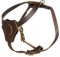 Lightweight Walking and Training Leather English Bulldog Harness for Puppies