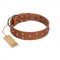 "Enchanted Skulls" FDT Artisan Tan Leather English Bulldog Collar with Chrome Plated Skulls
