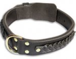 Bulldog Personalized Black dog collar 19 inch/19'' collar-C55s33