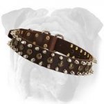 Leather Spiked and Studded Dog Collar