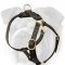 Ultimate Tracking Leather Harness for English Bulldog