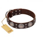 "Imperial Legate" FDT Artisan Brown Leather English Bulldog Collar with Big Round Plates