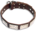 English Bulldog Best Brown collar 23'' /23 inch dog collar-c83
