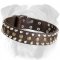Functional Leather English Bulldog Collar with Brass Studs and Nickel Pyramids