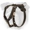 Padded Leather English Bulldog Puppy Harness with Studs