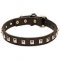 "Caterpillar" Leather English Bulldog Collar with Amazing Decoration