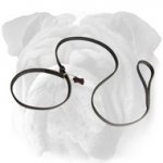 Leather Combo Leash for English Bulldog