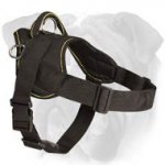 Adjustable Nylon Dog Harness for English Bulldog