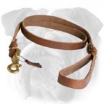 Braided Latigo Leather Leash for English Bulldog
