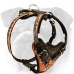 Custom Hand Painted Leather English Bulldog Harness
