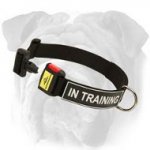 Nylon Collar With D Ring And ID Patch