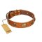 "Knights Templar" FDT Artisan Tan Leather English Bulldog Collar with Skulls and Crossbones Combined with Squares