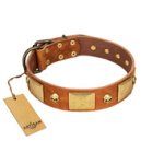 "Mutt The Daredevil" FDT Artisan Tan Leather English Bulldog Collar with Old Bronze-like Skulls and Plates