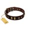 "Choco Delight" FDT Artisan Brown Leather English Bulldog Collar with Old Bronze-like Plates and Studs