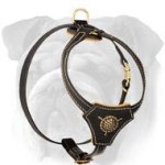 Tracking English Bulldog Puppy Leather Harness | Rustproof Hardware