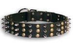 Studded Black collar 27'' for Bulldog /27 inch dog collar-S59
