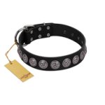"Black Raven" Handmade FDT Artisan Black Leather English Bulldog Collar with Silver-Like Adornments