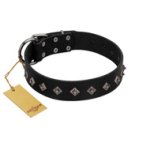 "Immense Power" Handcrafted FDT Artisan Black Leather English Bulldog Collar with Small Dotted Pyramids