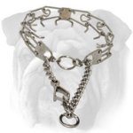 Chrome Plated English Bulldog Prong Collar with Scissors-Like Snap Hook - 1/8 inch (3.25 mm)