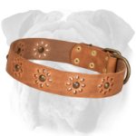 "Spring is in the Air" Leather English Bulldog Collar with Flower Adornment