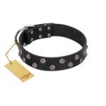 "Power-Flower" FDT Artisan Black Leather English Bulldog Collar with Two Rows of Silver-like Studs with Engraved Flowers