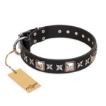 'Space Walk' FDT Artisan Black Leather English Bulldog Collar with Adornments