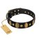 "Venerable Pawty" FDT Artisan Black Leather English Bulldog Collar with Old Bronze-like Ovals and Studs