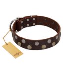 "Shadow Warrior" FDT Artisan Mystic Brown Leather English Bulldog Collar with Runes