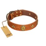 "Space Warrior" FDT Artisan Tan Leather English Bulldog Collar with Ovals and Stars