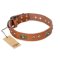 "Stunning Dress" FDT Artisan Tan Leather English Bulldog Collar with Old Bronze Look Plates and Studs