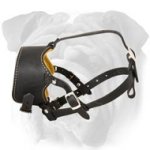 Adjustable Soft Bark Control Leather English Bulldog Muzzle